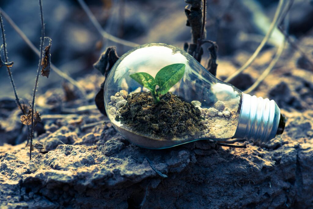pexels-photo-1108572-1108572 A small plant sprouts in soil inside a light bulb, symbolizing eco-friendly and sustainable growth.