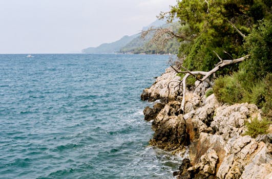 pexels-photo-32542770-32542770 Dramatic coastal landscape featuring rocky shoreline, turquoise sea, and lush pine trees under a clear sky.