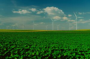 Panoramic view of wind turbines in a lush green field with a clear blue sky.